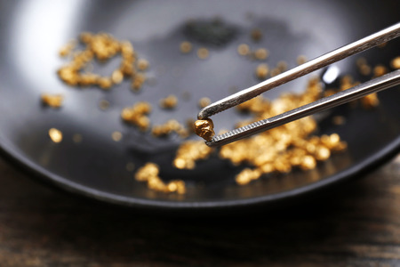 Tweezers holding Gold nugget grain, on black background, close-upの写真素材