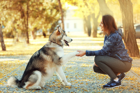 Happy young woman walking with her dog in parkの写真素材
