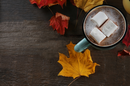 Tasty cocoa and marshmallow in old-fashioned metal mug on the tableの写真素材