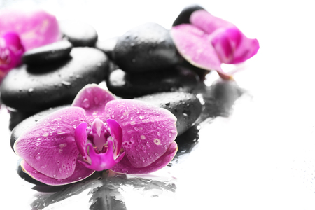 Black spa stones and orchids isolated on whiteの写真素材