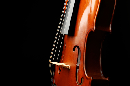 Violin on dark backgroundの写真素材
