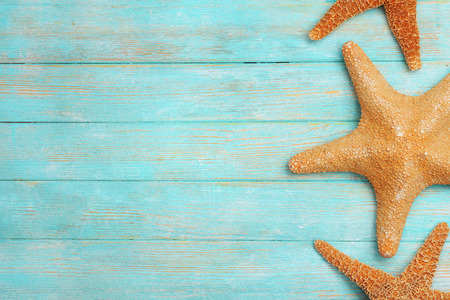 Seashells on wooden backgroundの写真素材