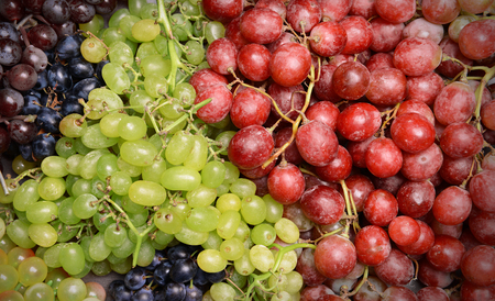 Grape backgroundの写真素材