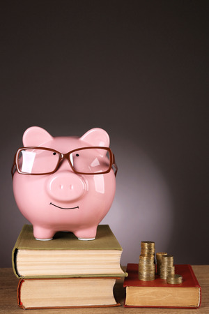 Piggy bank in glasses with books and coins on grey backgroundの写真素材