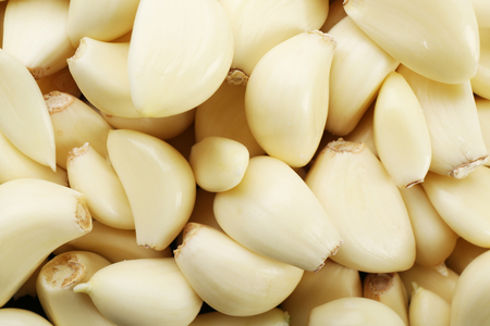 Garlic backgroundの写真素材
