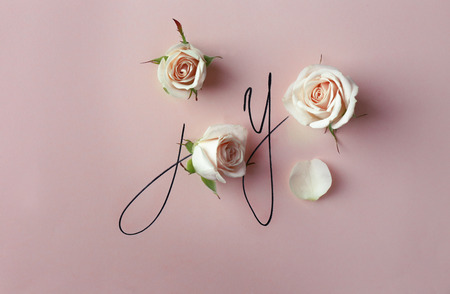 Inscription joy with beige roses on pink backgroundの写真素材