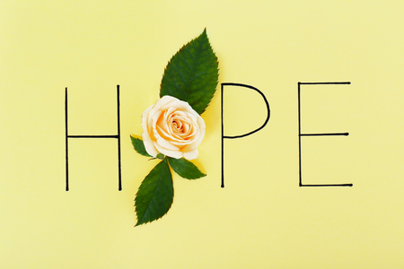 Inscription hope with beige rose on green backgroundの写真素材