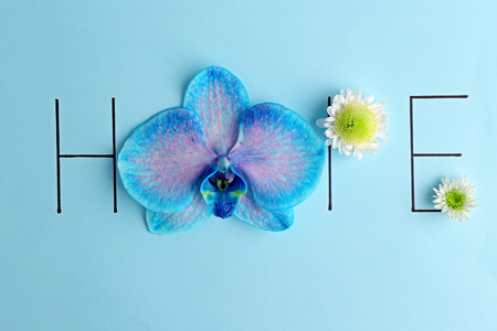 Inscription hope with orchid and white flowers on blue backgroundの写真素材