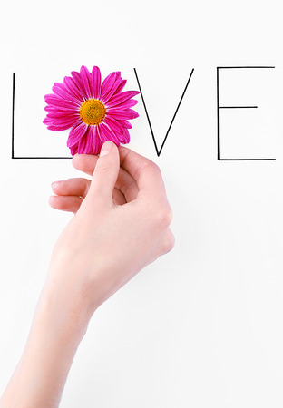 Inscription love with pink flower and hand on white backgroundの写真素材