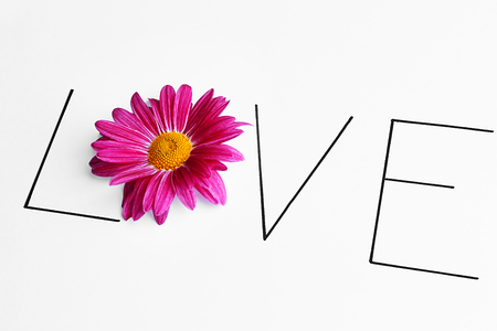 Inscription love with pink flower on white backgroundの写真素材