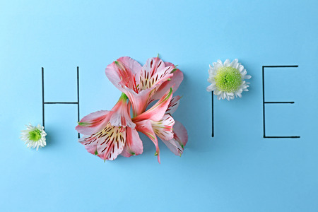 Inscription hope with pink and white flowers on blue backgroundの写真素材
