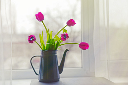 Tulips in watering can on the table, close upの写真素材