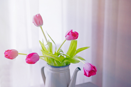 Tulips in watering can on the table, close upの写真素材
