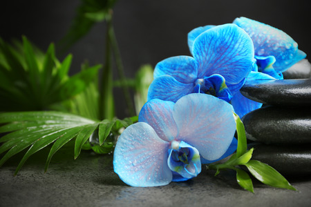 Beautiful spa composition with blue orchid and stonesの写真素材