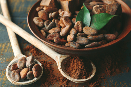 Spoon with aromatic cocoa powder and green leaf, close upの写真素材