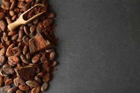 Aromatic cocoa beans and chocolate on grey background, copy spaceの写真素材