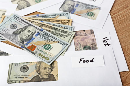 Distribution of money, financial planning, dollars in envelopes, on wooden table backgroundの写真素材