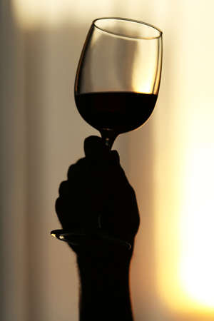 Silhouette of man holding red wine in a glass, close upの写真素材