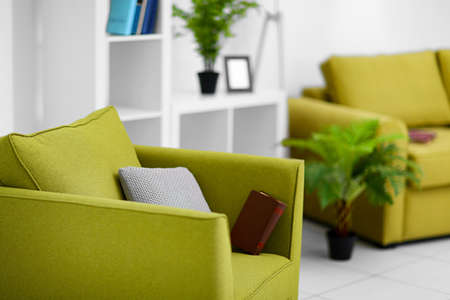 Living room interior with green furniture on light background