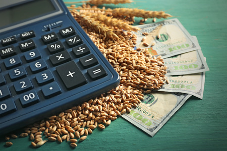 Dollar banknotes, calculator and wheat grains on color wooden background. Agricultural income conceptの写真素材