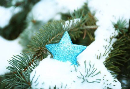 Christmas blue star on a snowy fir tree branchの写真素材