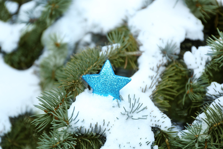 Christmas blue star on a snowy fir tree branchの写真素材