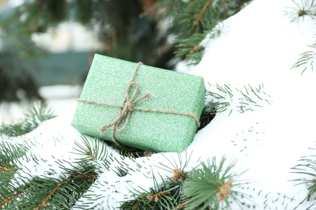 Christmas gift on a snowy fir tree branchesの写真素材