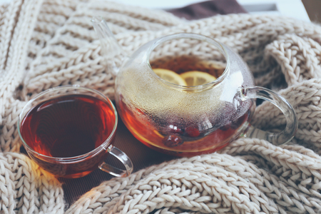Cup of tea and woolen scarf, closeupの写真素材