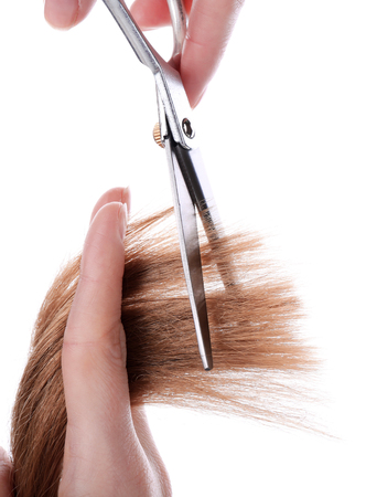 Hairdresser's hands with scissors cutting blonde strand of hair, isolated on whiteの写真素材