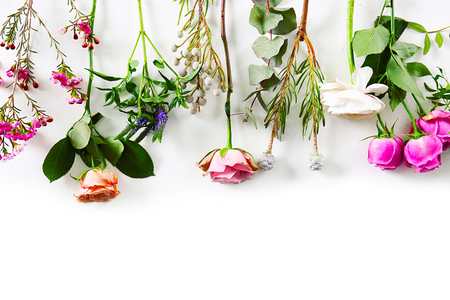 Beautiful flowers on white backgroundの写真素材
