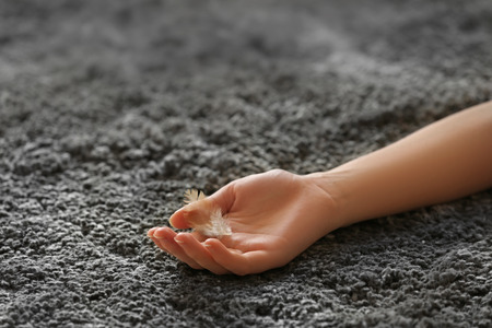 Hand and a feather.の写真素材