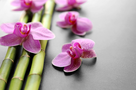 Bamboo and orchids, closeupの写真素材