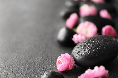 Spa stones and pink flowers on grey backgroundの写真素材