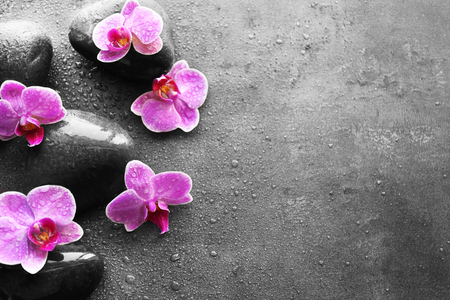 Spa stones and orchids on dark backgroundの写真素材
