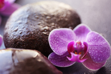 Spa stones and orchids, closeupの写真素材