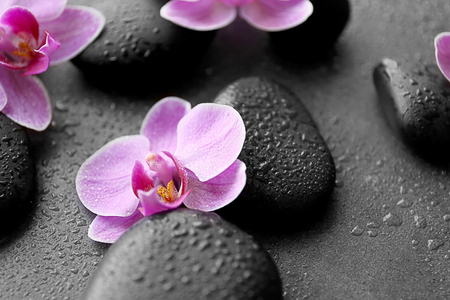 Spa stones and orchids, closeupの写真素材