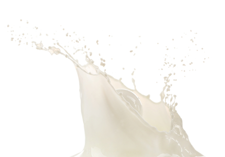 Milk splash, closeupの写真素材