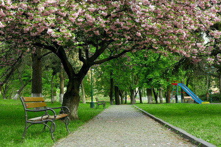 Paved road and bench in a green parkの写真素材
