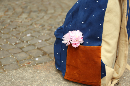 Sakura flowers in a backpack