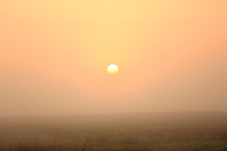 Foggy morning on fieldの写真素材