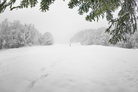 Beautiful winter landscapeの写真素材