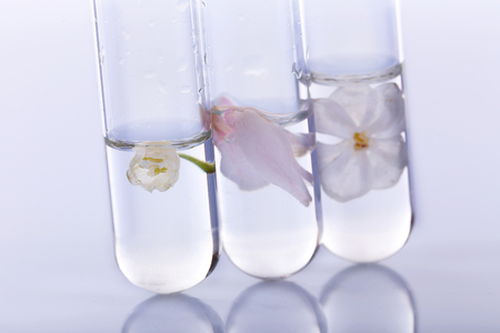 Process of making perfumesの写真素材