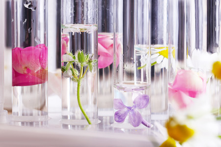 Process of making perfumesの写真素材