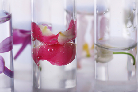 Process of making perfumesの写真素材