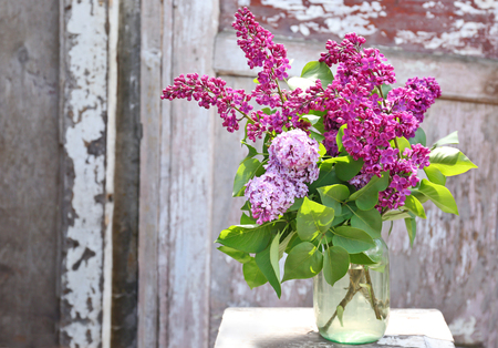 Beautiful fresh bouquet of violet lilacの写真素材