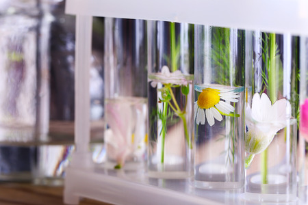 Process of making perfumesの写真素材