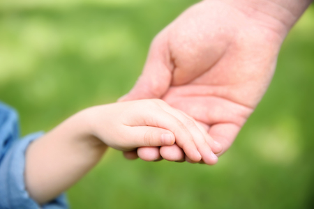Adult and child hands on natural backgroundの写真素材