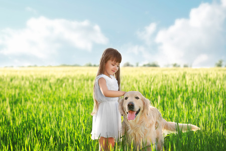 Little girl and big kind dog on the meadowの写真素材