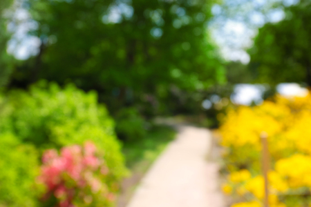 Footpath between flower beds with bright colourful flowers in botanical garden, unfocusedの写真素材