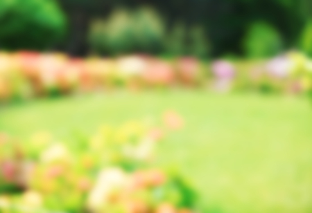 Flower bed with bright colourful flowers in botanical garden, unfocusedの写真素材